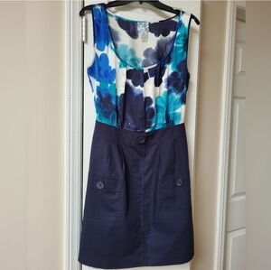 Anthropologie Tabitha Silk & Cotton Lined Dress Size 10